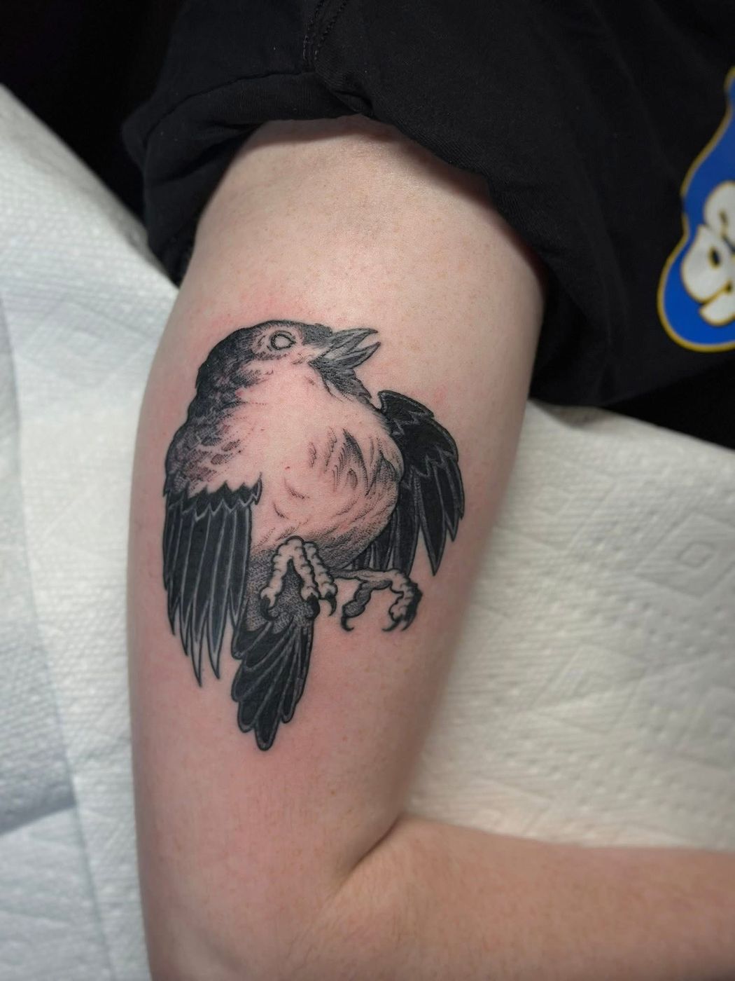 Raven blackwork tattoo